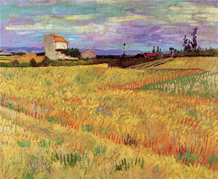 Wheat Field Van Gogh Oil Painting